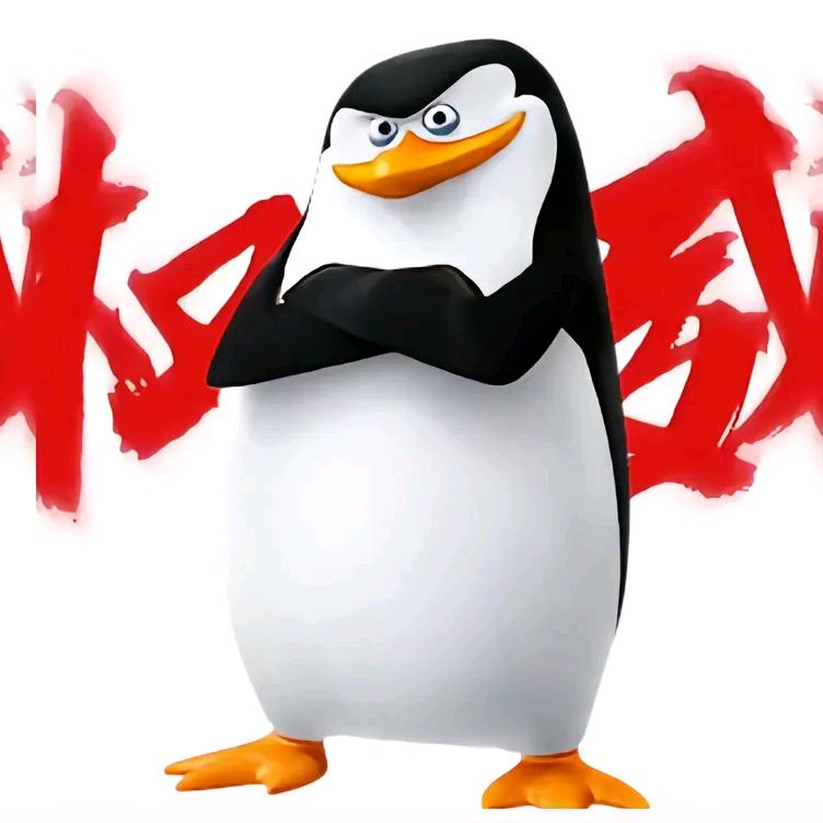 知不道啊