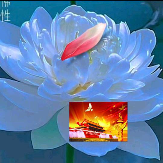 天润红五星
