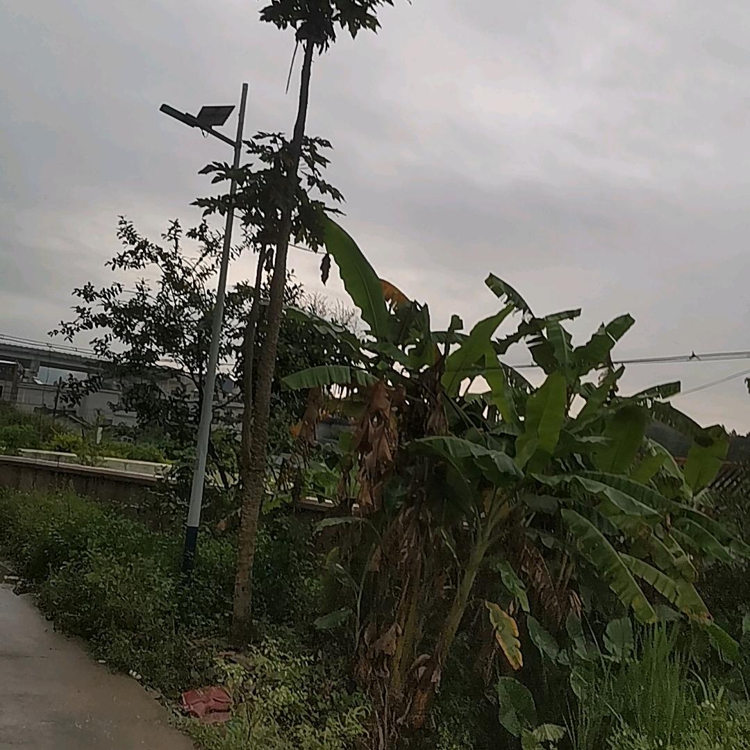 快乐