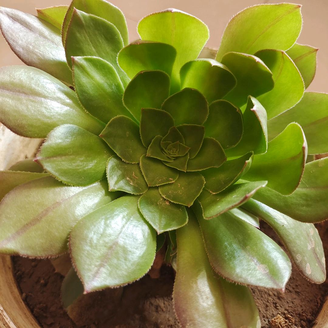 ɞᨳᩚᤢ康慨💖张意¹³¹⁴ృ༊