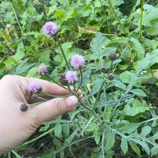 风生水起