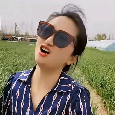 二憨子的幸福生活