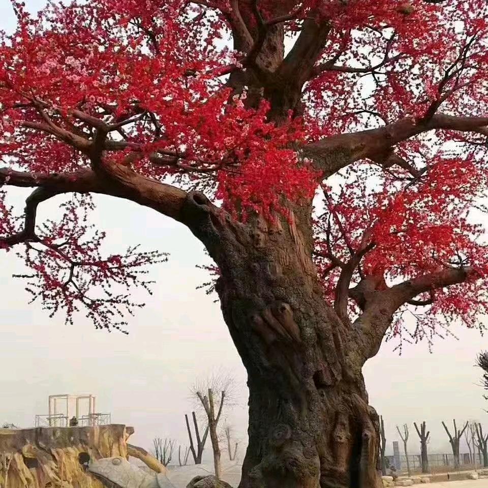 用户2213314724438毅哥