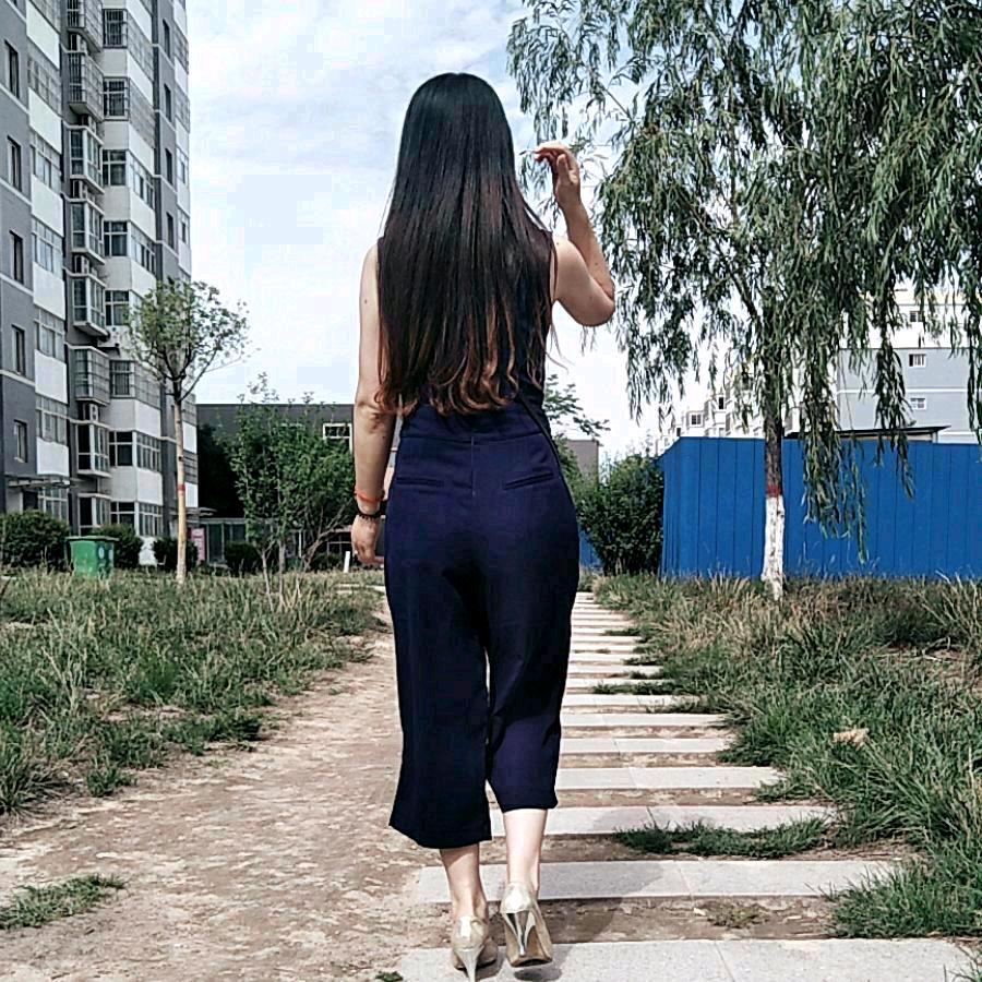 春月.雅氣和辉