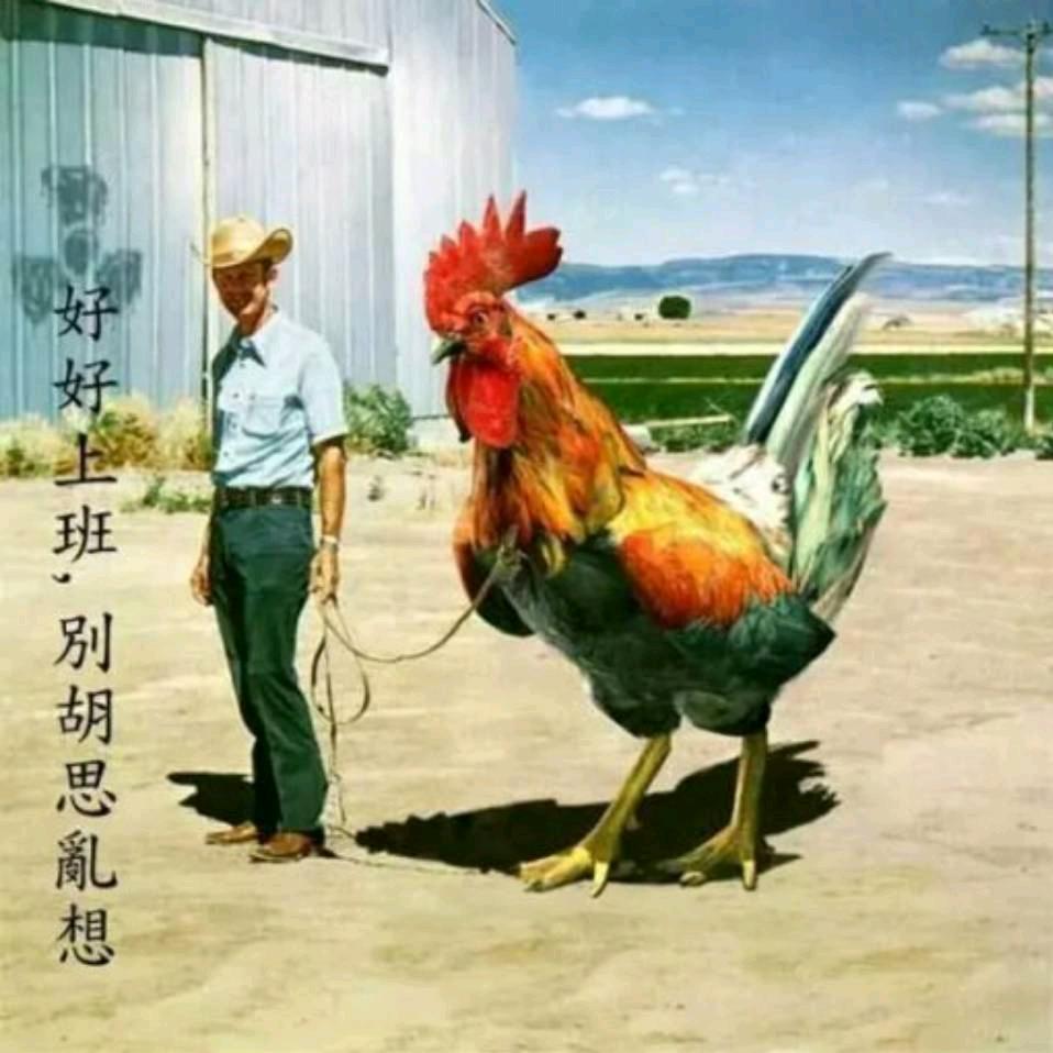 好酒在来