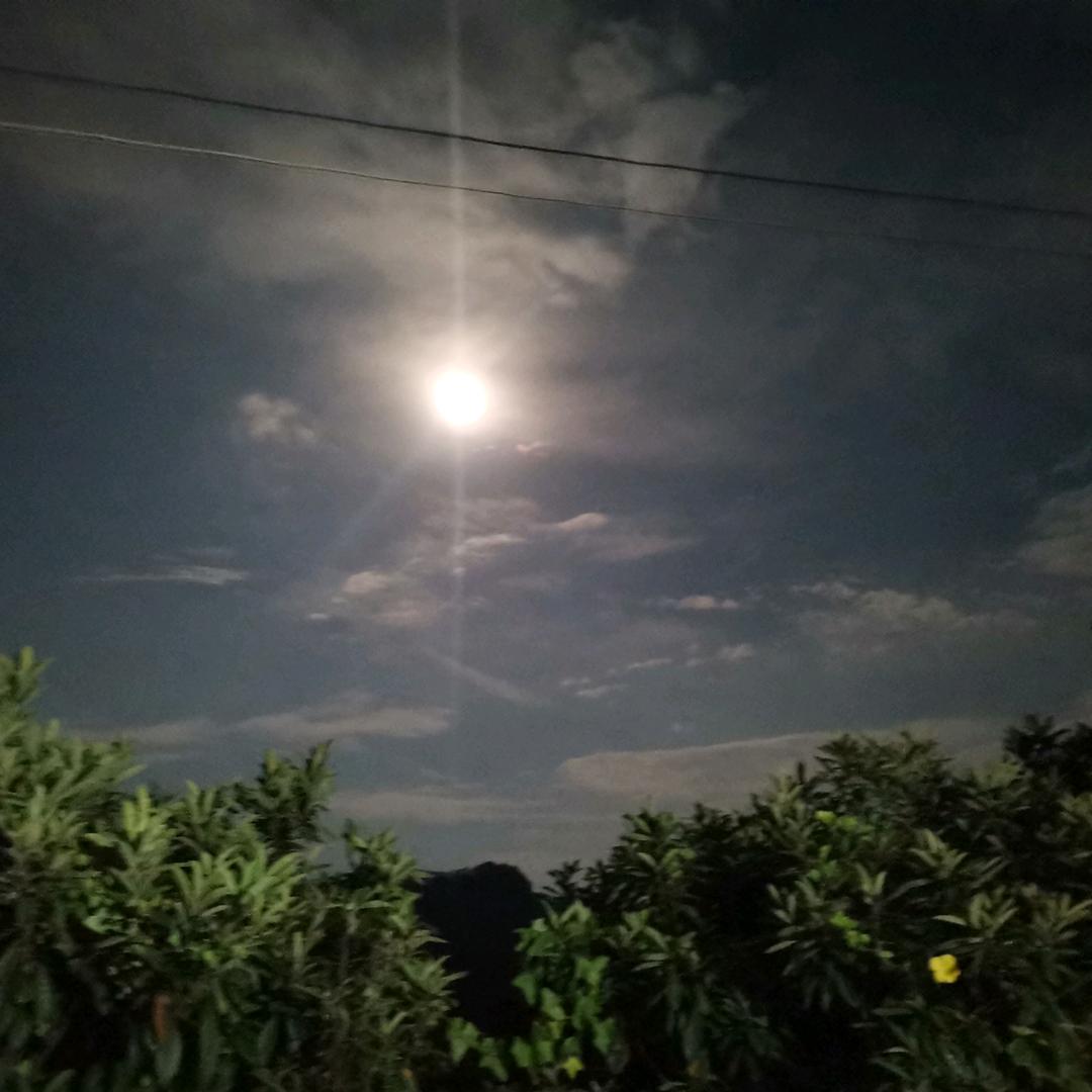 问题是
