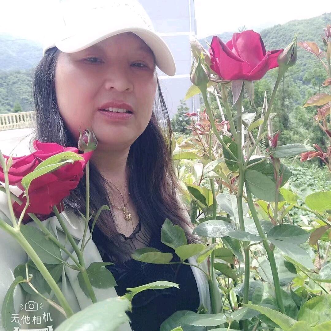 🎁依然🎁