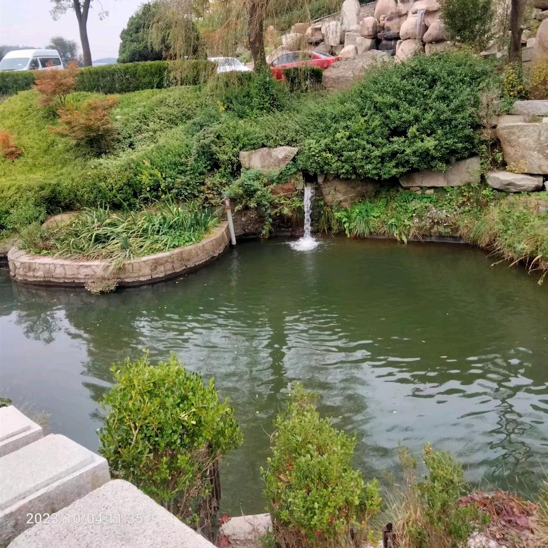 善心结善缘，凤