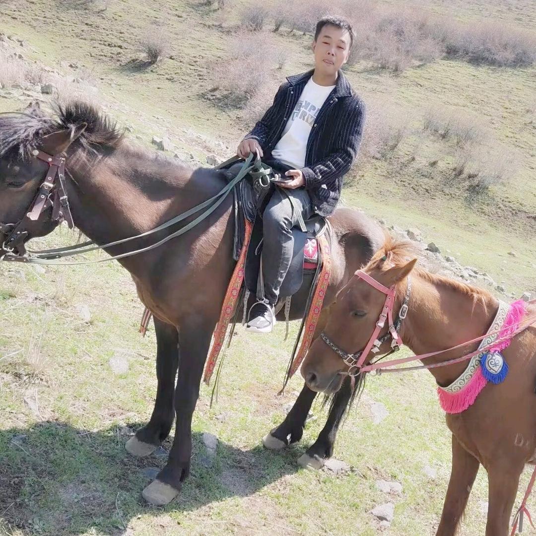 毛毛的远方
