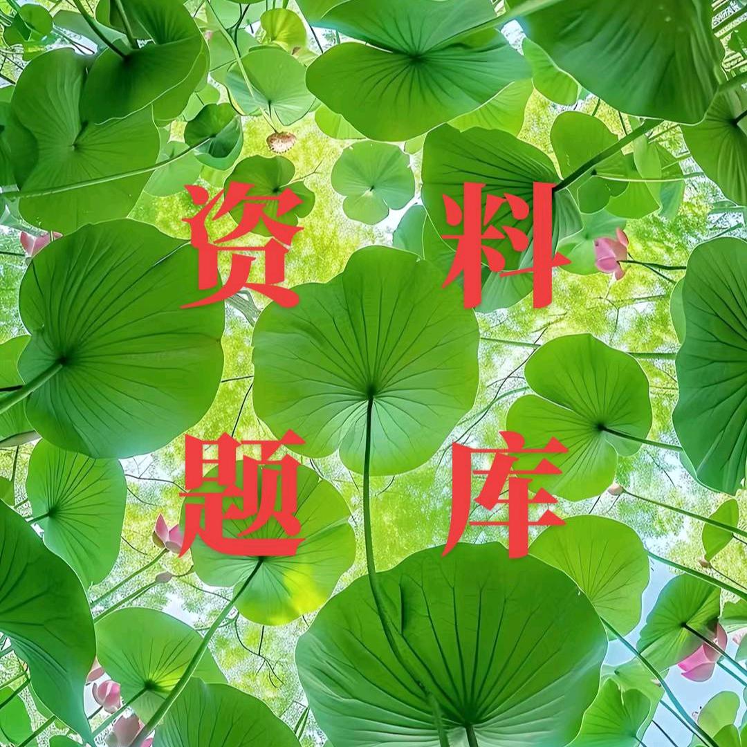 云朵小学