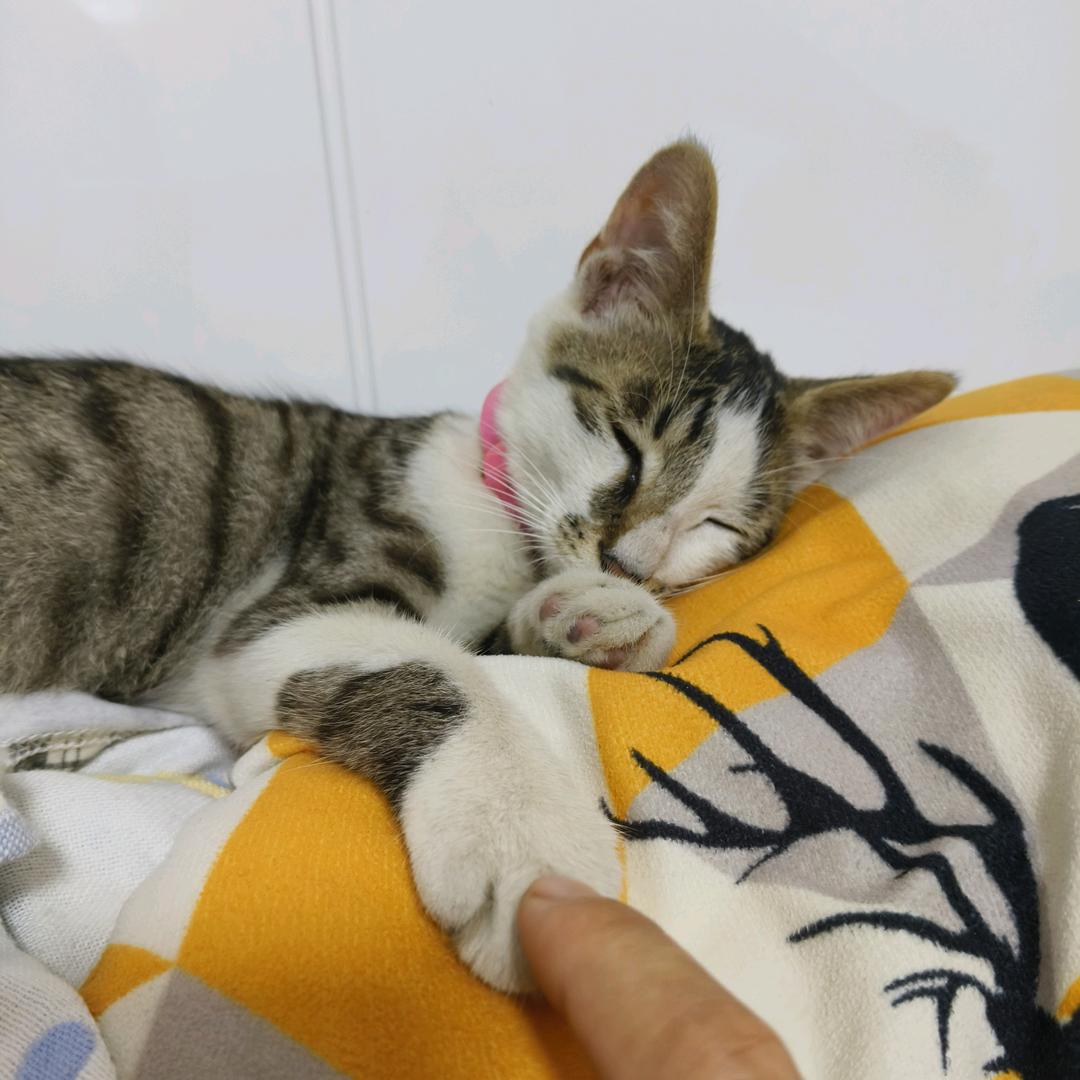 错把敷衍！当承诺……