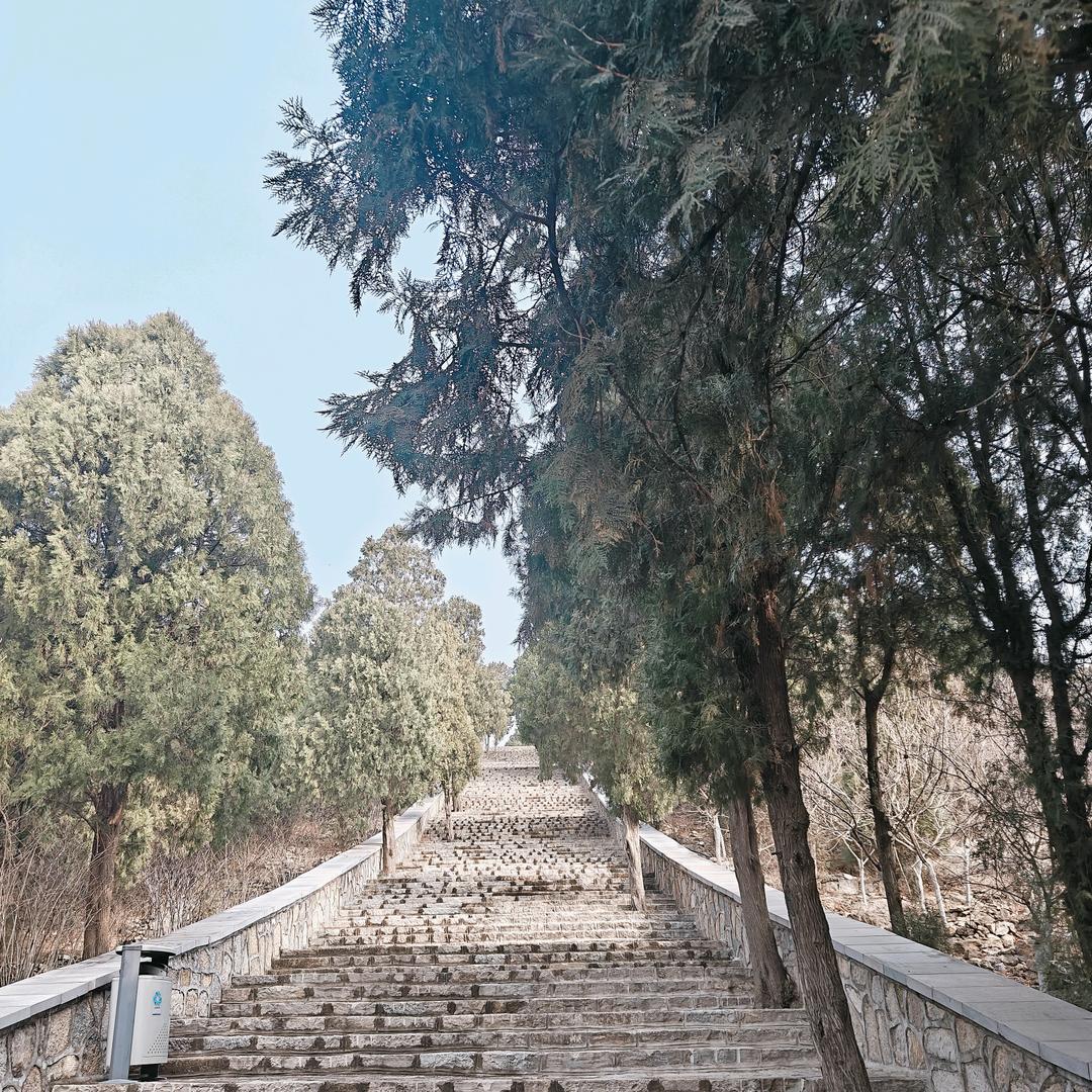 宁津县鹏成输送机械有限公司