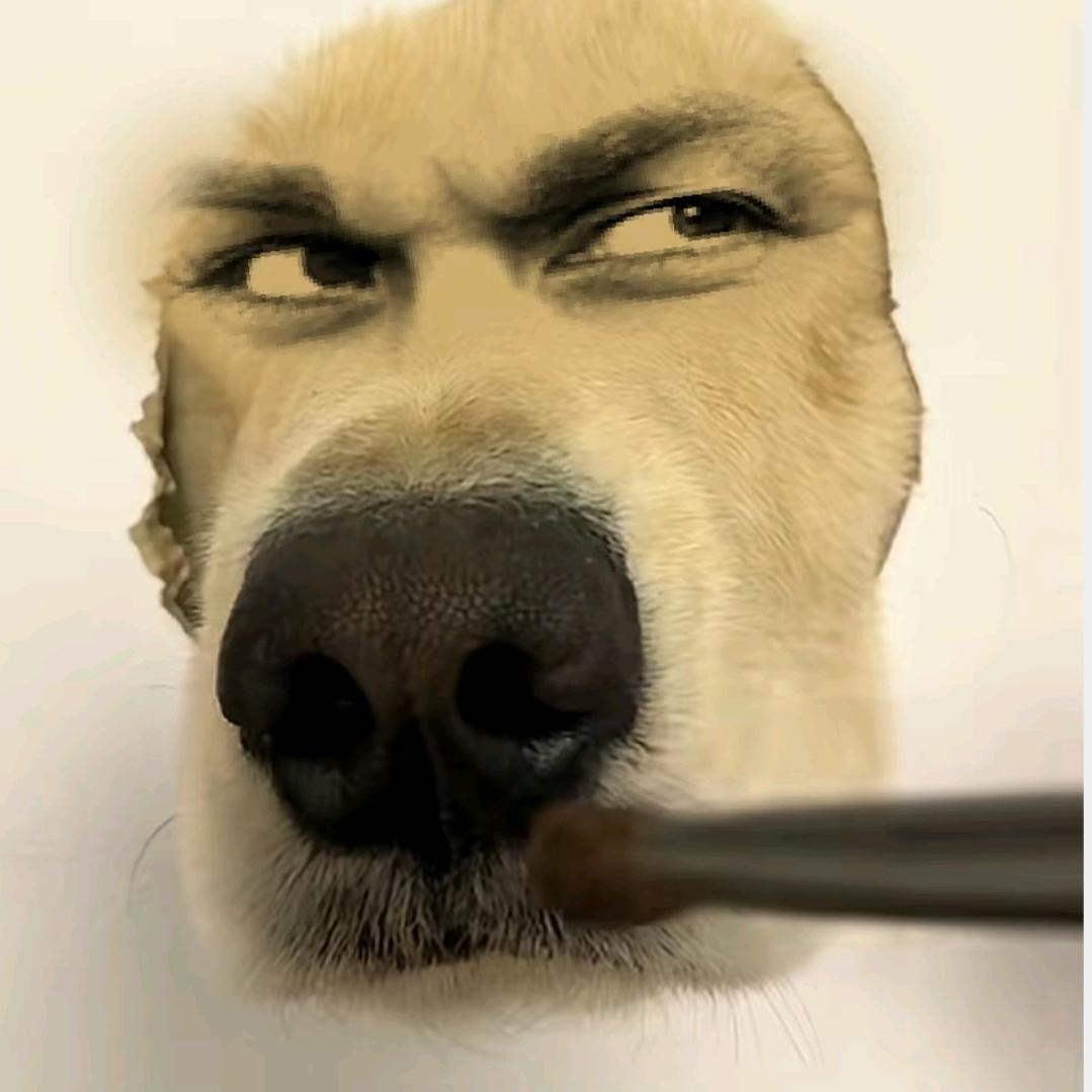 那个谁