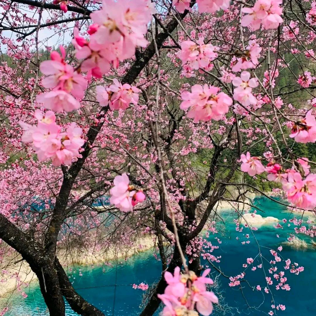 💞ℒᎭℯ⃝败给温柔💕