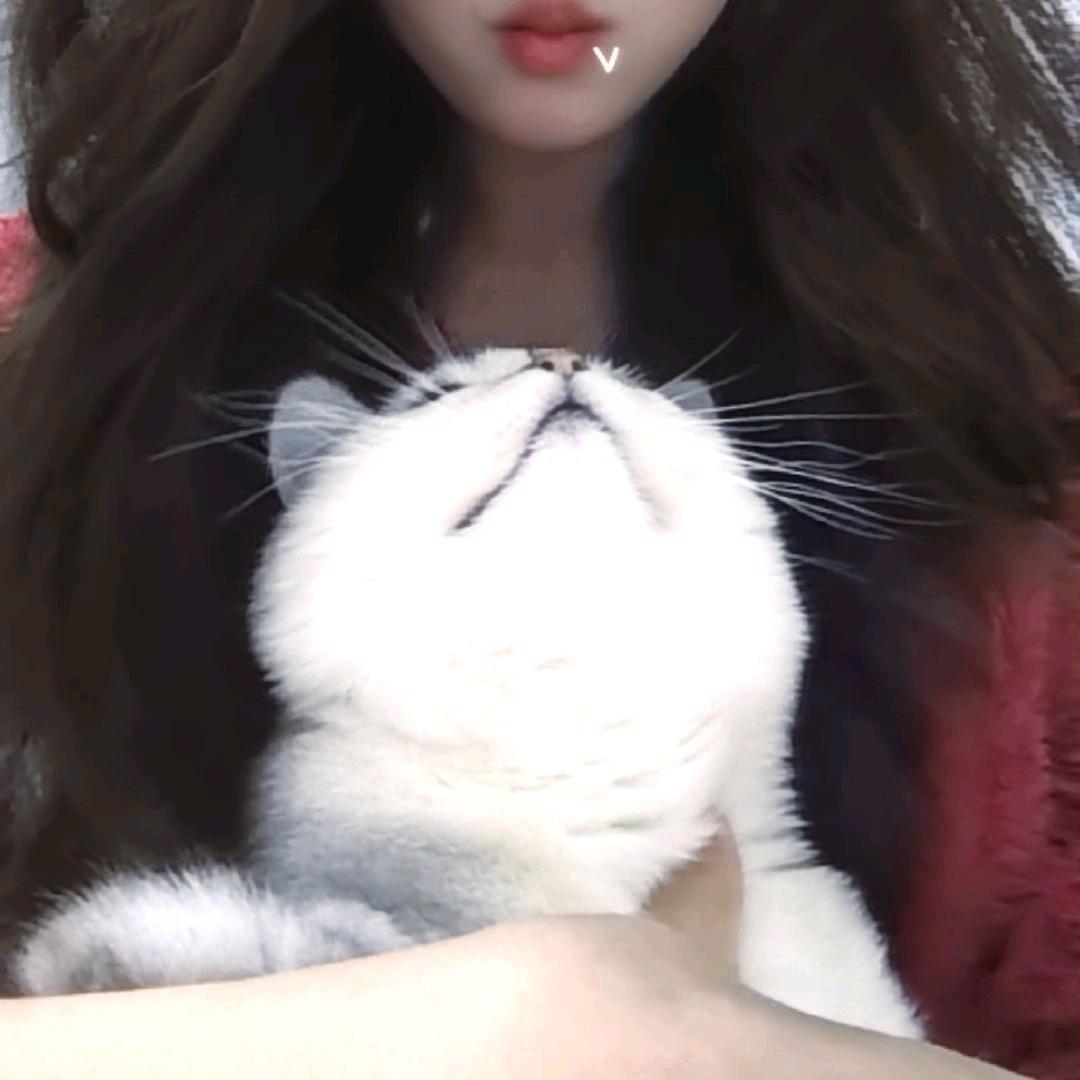 鲨仁不wink