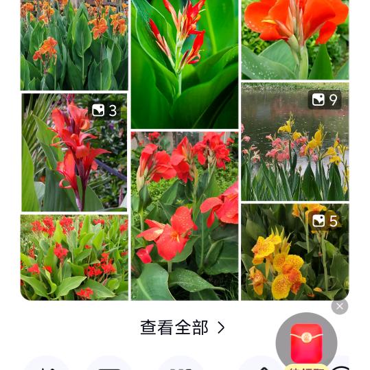 我与春风皆过客！