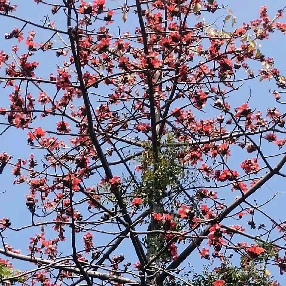 再见只是陌生人