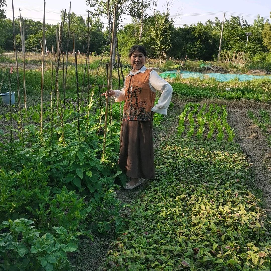 温暖《好物在橱窗）