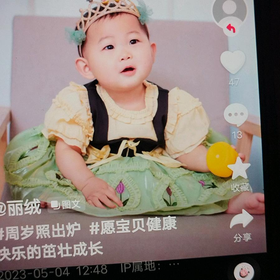 鸿雁飞翔