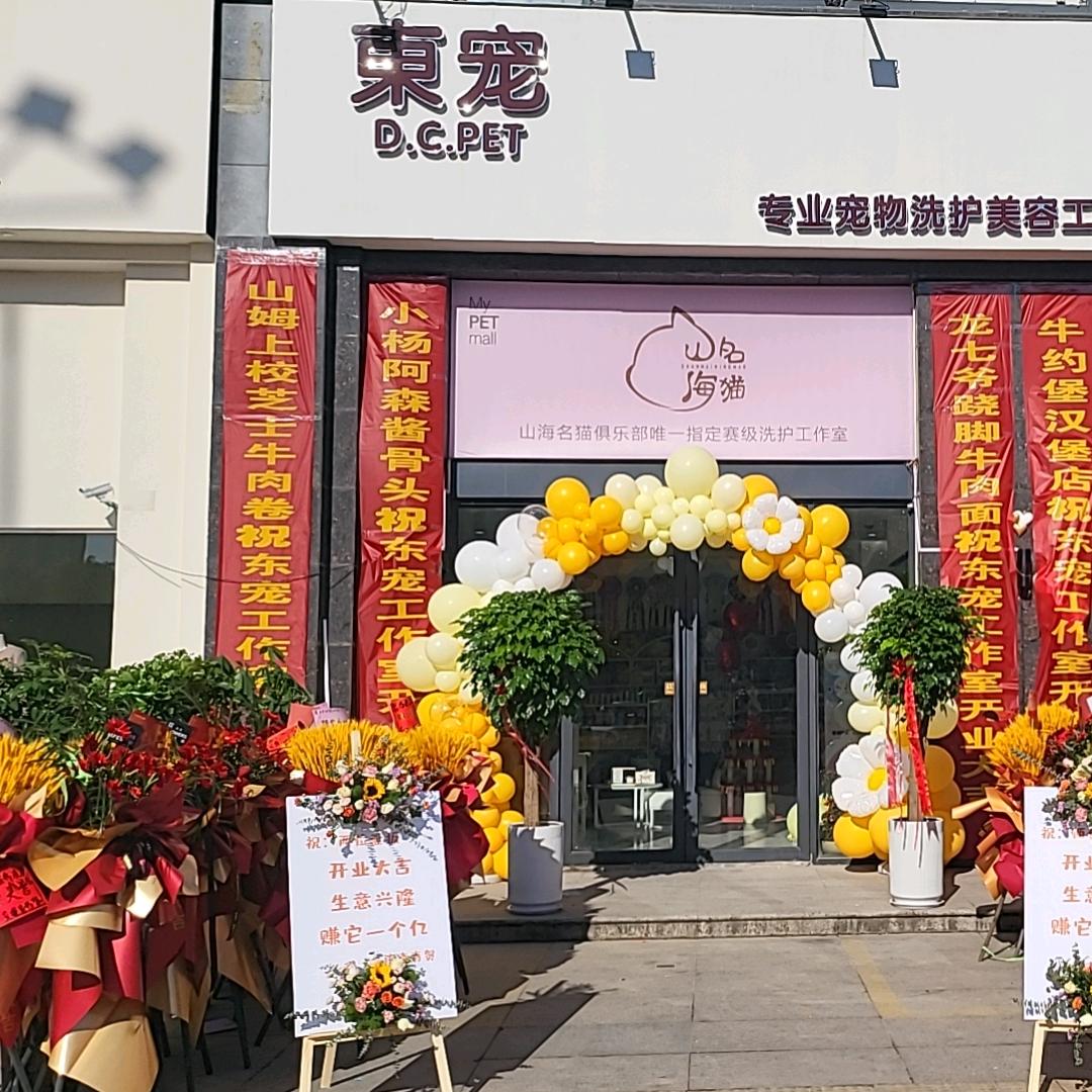 東宠专业宠物洗护美容工作室官方号