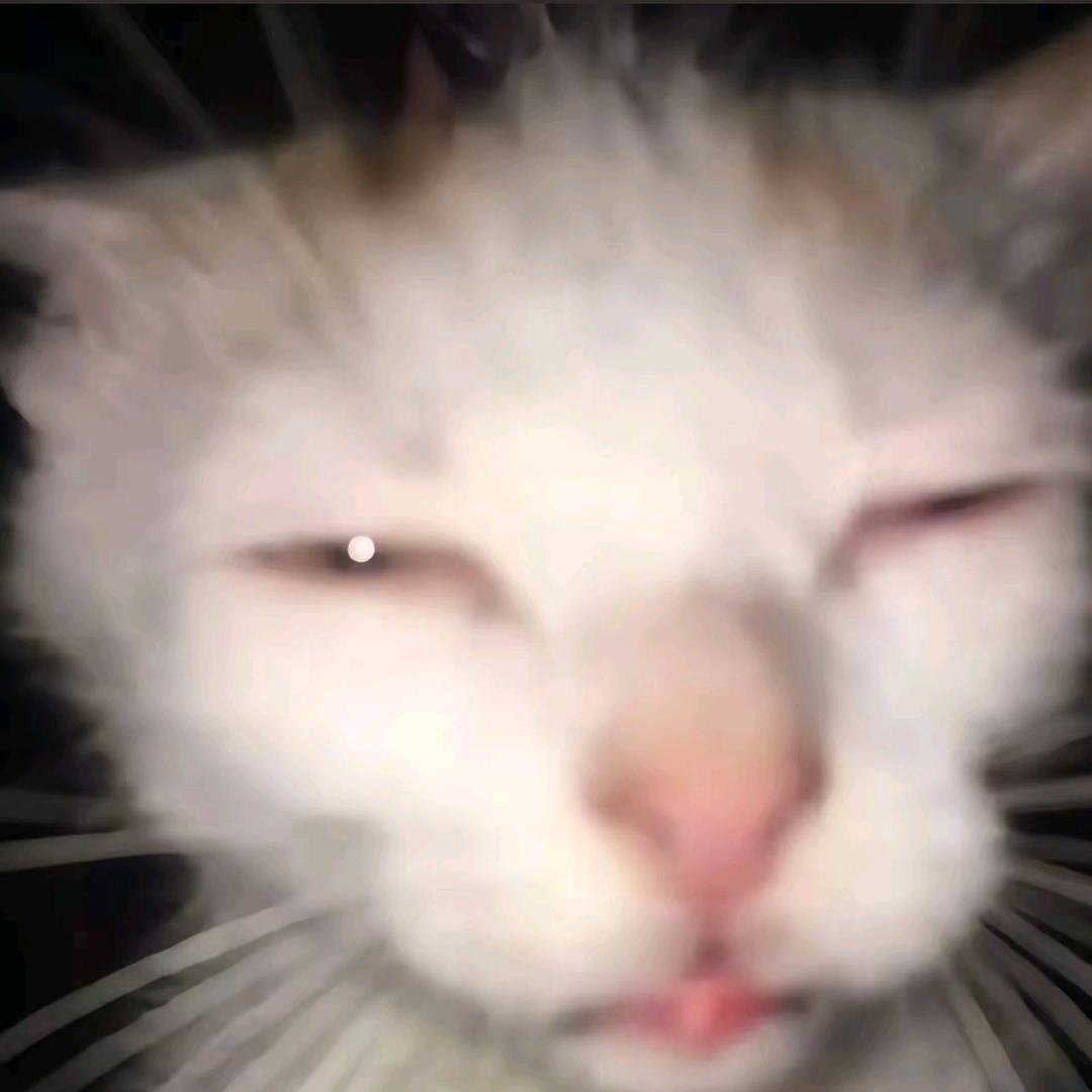 奥奥奥利奥olo. （求你们别连赞了😭