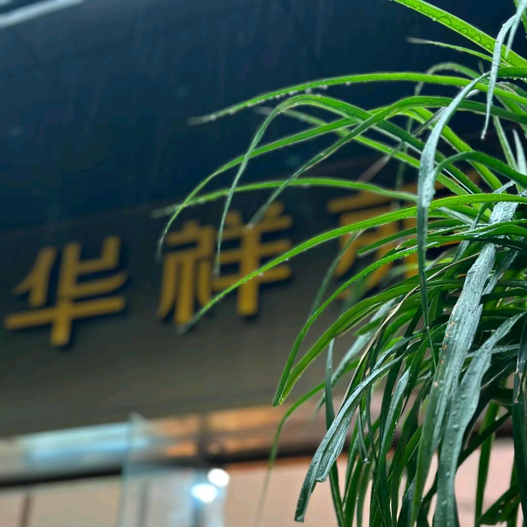 漳县华祥苑茗茶胡丽丽