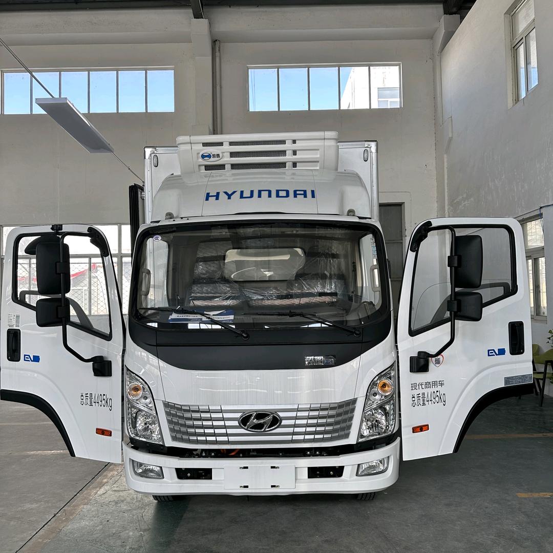 冰河世纪-苏州新能源冷藏车