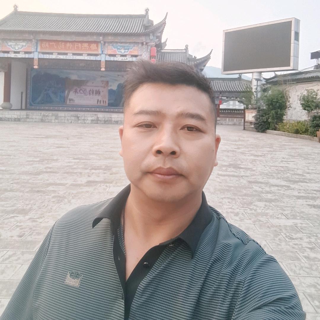 无量山鹰