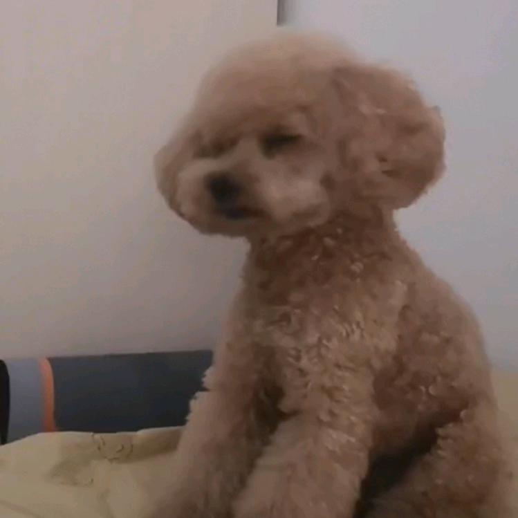 我们=