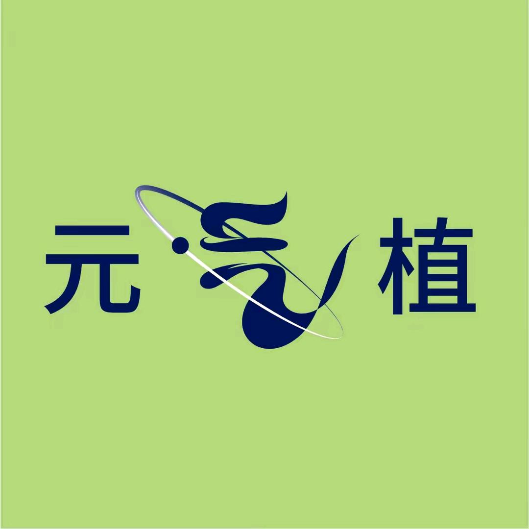 元气植🎤
