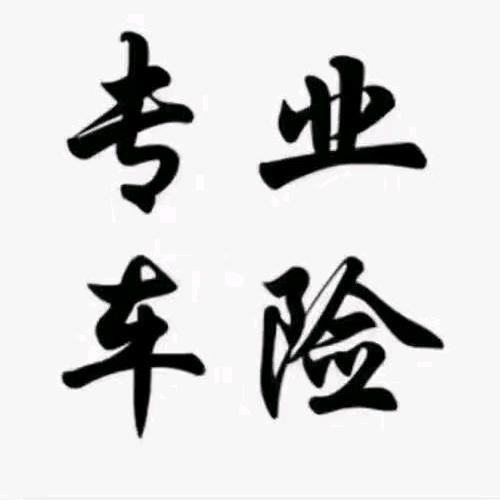 专业che险