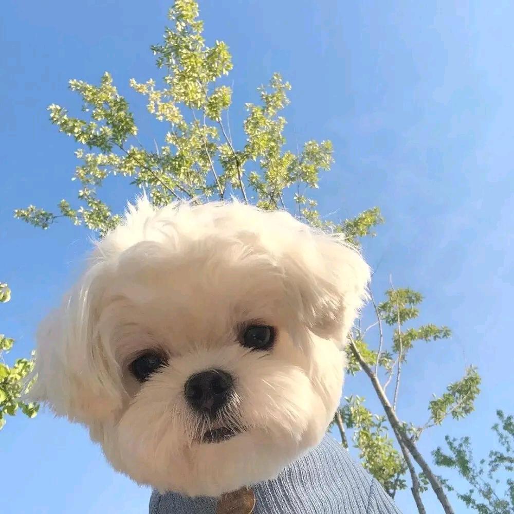硕宝儿～