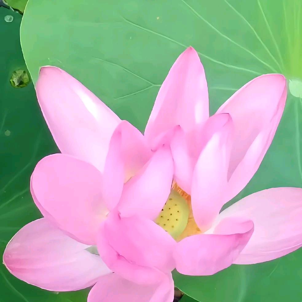 一个人的星空