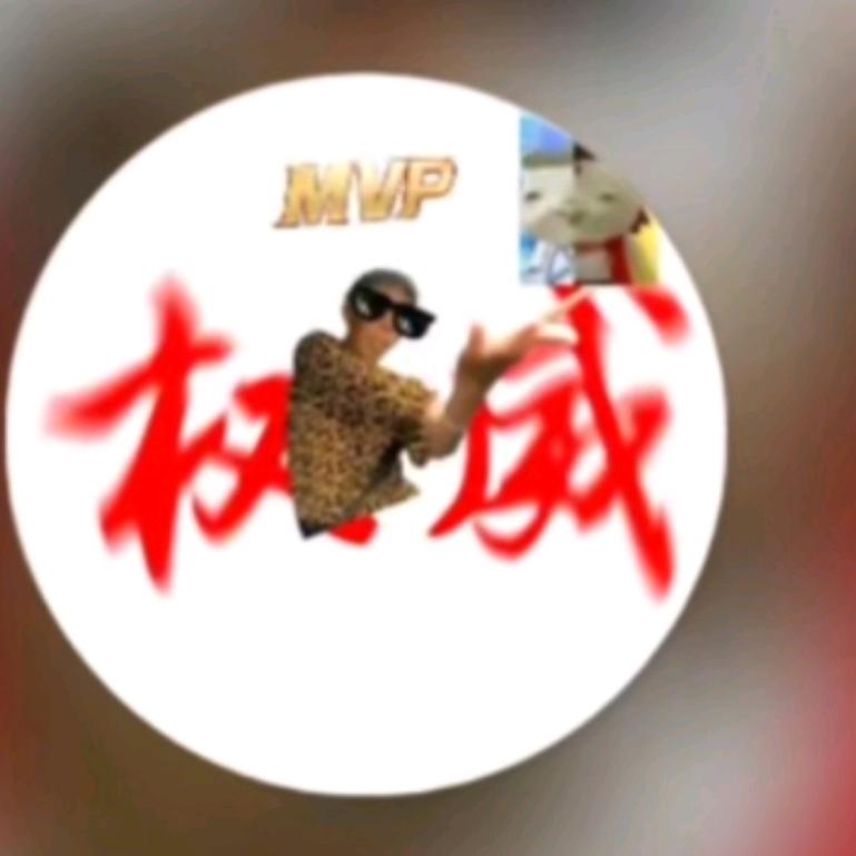 权威的开车老奶大战胡巴头像