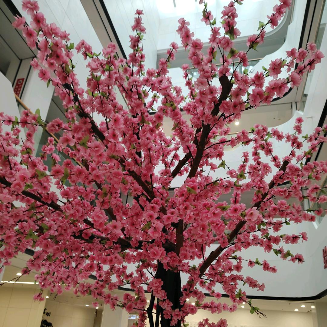 🌹🌹巧巧❤️❤️❤️❤️❤️❤️