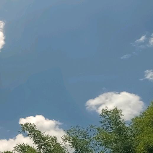 ♬笑看红尘༒༽