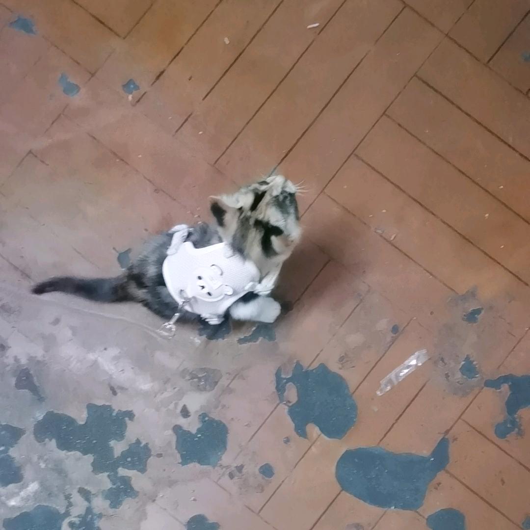 🌻爱笑的眼睛