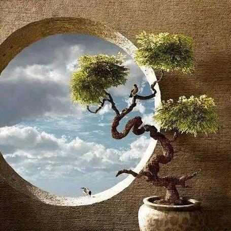 野桩苑花卉绿植