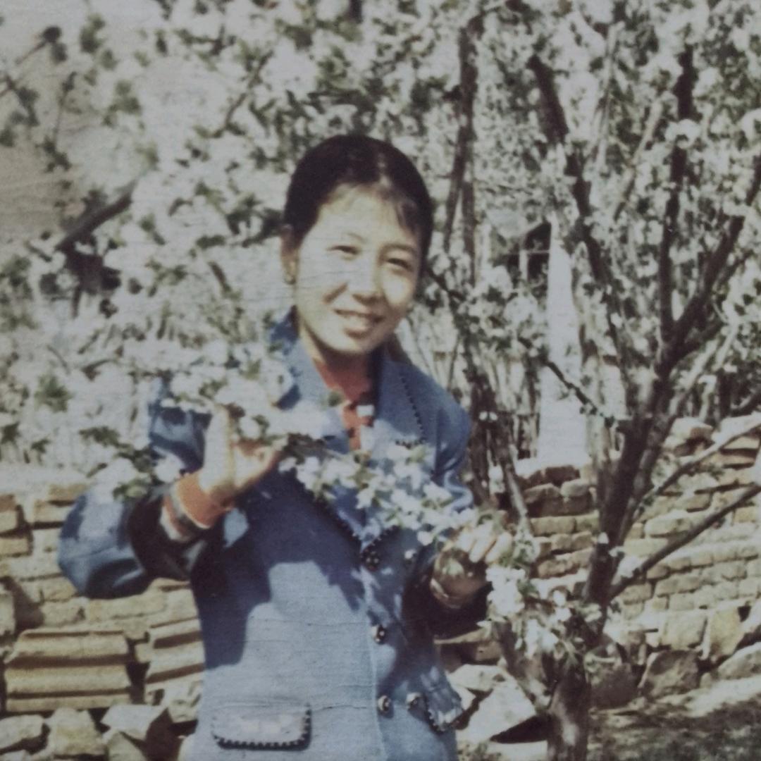 手机用户72284425538