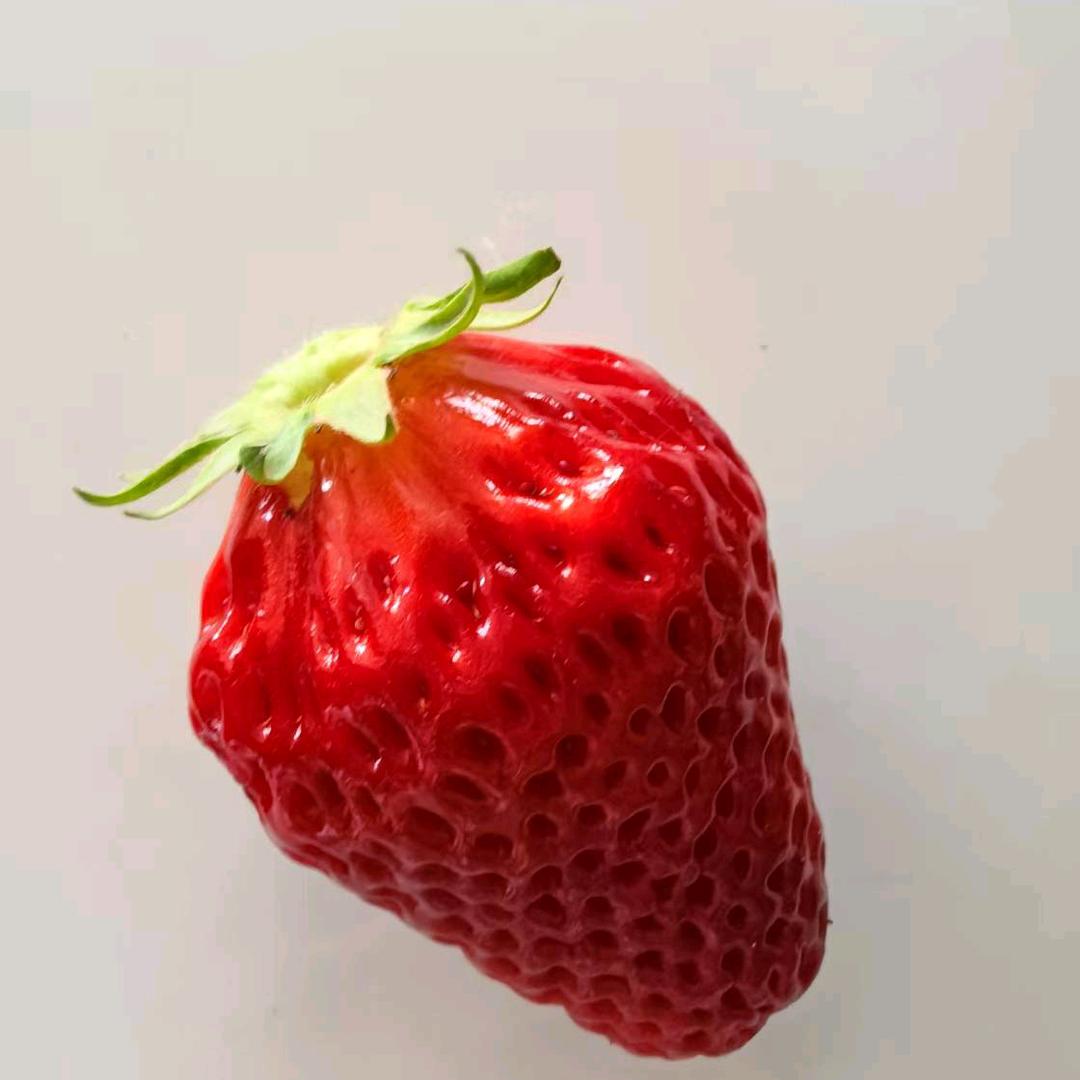 悦美耕读杨姐🌼