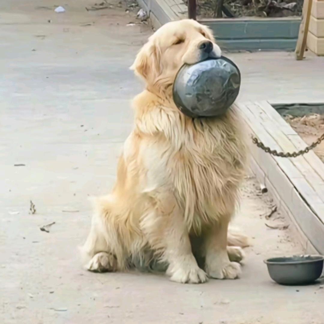 爱修方向机的小剑