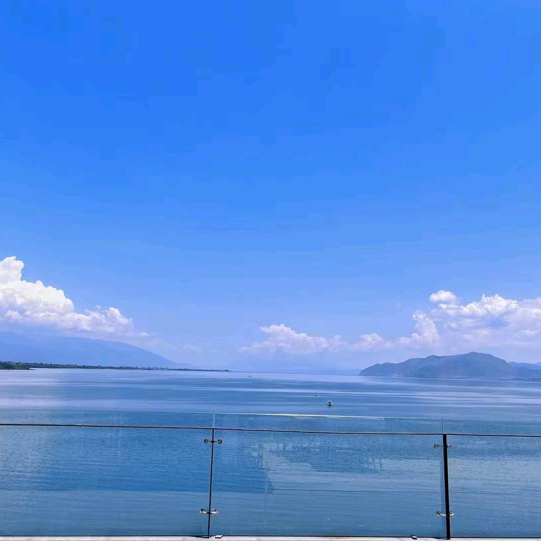 王  不困