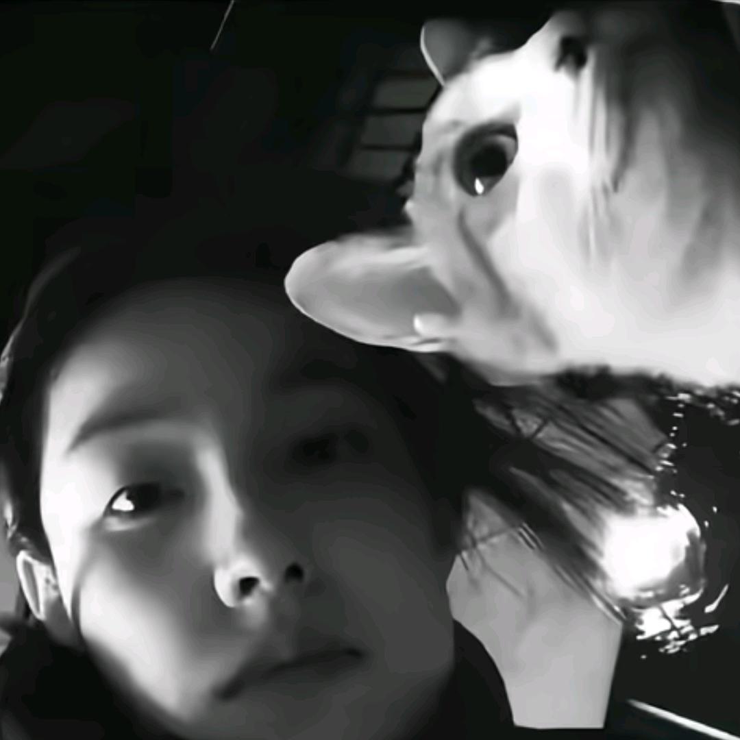 天天开xin