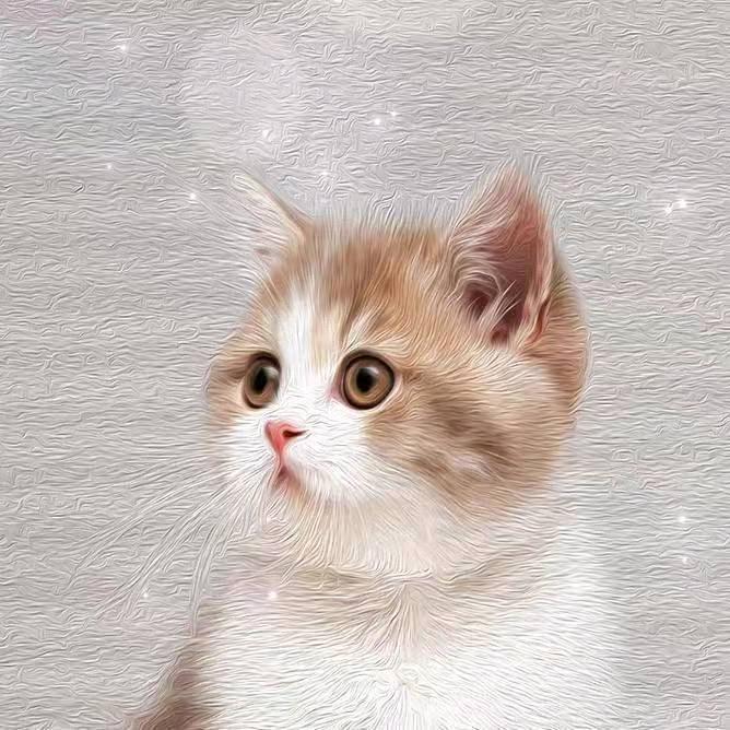 @清风徐徐