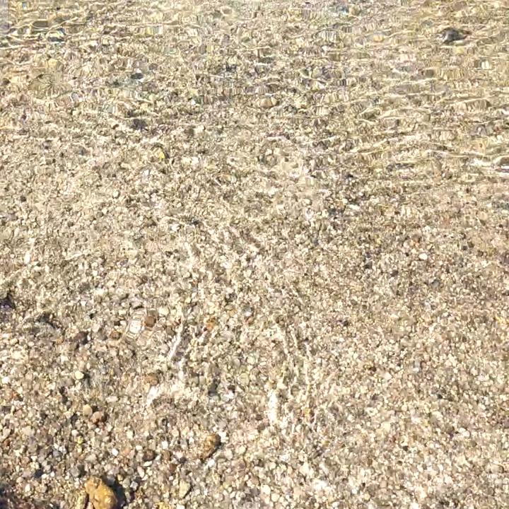 纵情时光