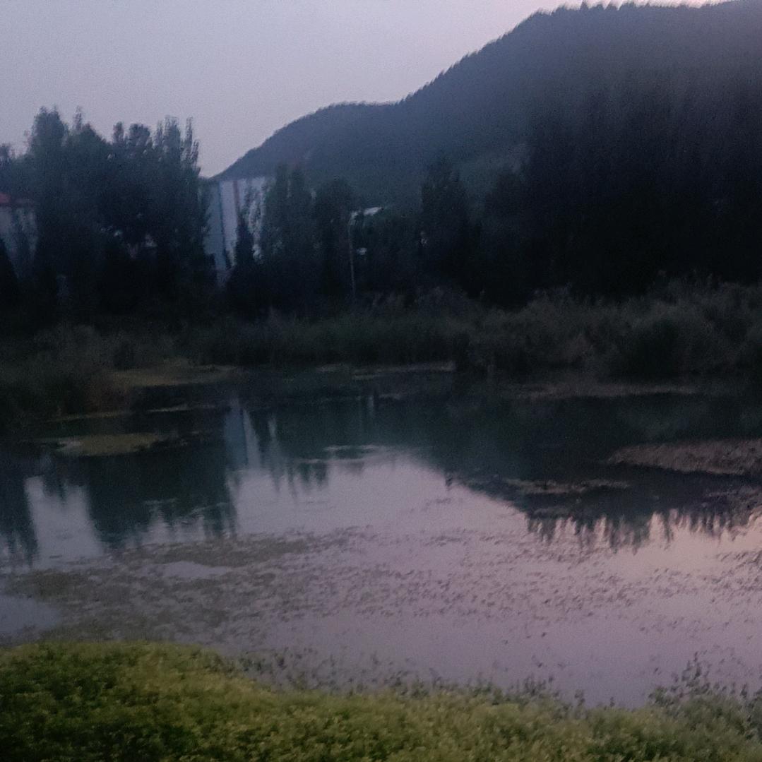 努力的方向——>钱