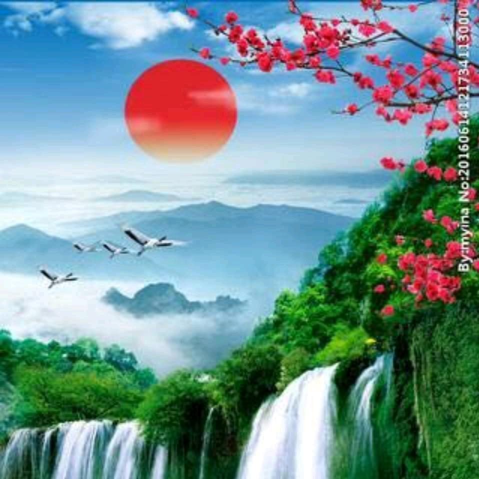 盛大大