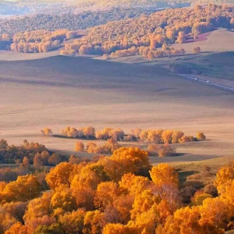 生活适合自己就好