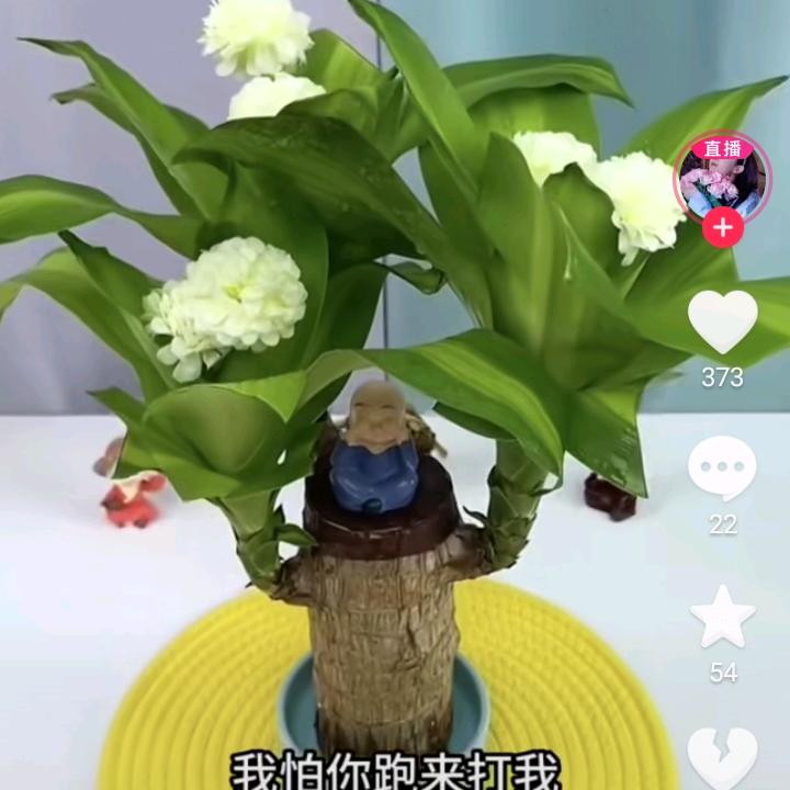 大佬