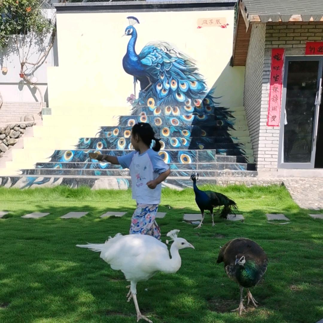 米粒之光